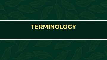 Presentations 'Presentation on Agriculture and Botany Terms: English to Latvian', 8.