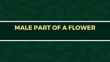 Presentations 'Presentation on Agriculture and Botany Terms: English to Latvian', 10.