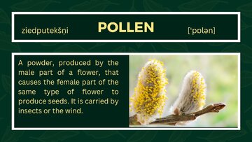 Presentations 'Presentation on Agriculture and Botany Terms: English to Latvian', 17.