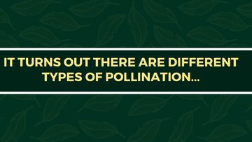 Presentations 'Presentation on Agriculture and Botany Terms: English to Latvian', 18.