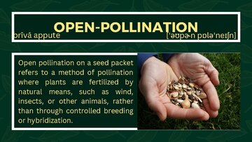 Presentations 'Presentation on Agriculture and Botany Terms: English to Latvian', 23.