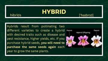 Presentations 'Presentation on Agriculture and Botany Terms: English to Latvian', 25.