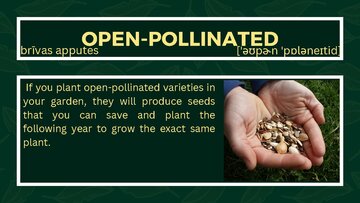 Presentations 'Presentation on Agriculture and Botany Terms: English to Latvian', 26.