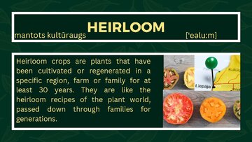 Presentations 'Presentation on Agriculture and Botany Terms: English to Latvian', 27.