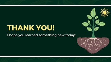 Presentations 'Presentation on Agriculture and Botany Terms: English to Latvian', 28.