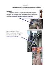 Research Papers 'Gotikas stila iezīmes La Sagrada Familia katedrālē', 6.