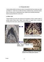 Research Papers 'Gotikas stila iezīmes La Sagrada Familia katedrālē', 29.