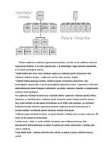 Research Papers 'Organizācijas struktūra un hierarhija', 3.