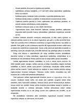 Research Papers 'Organizācijas struktūra un hierarhija', 6.