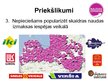 Term Papers 'Maksājumu karšu tirgus analīze Latvijā', 56.