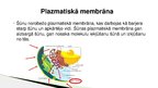 Presentations 'Vielu transports caur plazmatisko membrānu', 2.