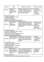 Practice Reports 'Māsas palīga prakses dienasgrāmata', 11.