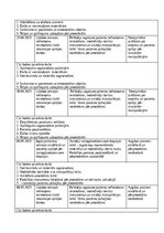Practice Reports 'Māsas palīga prakses dienasgrāmata', 12.