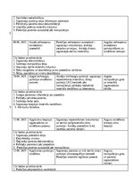 Practice Reports 'Māsas palīga prakses dienasgrāmata', 20.