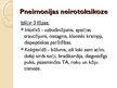Presentations 'Bronhīti, bronhiolīti un pneimonijas bērniem', 7.