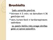 Presentations 'Bronhīti, bronhiolīti un pneimonijas bērniem', 13.
