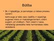Presentations 'Bioloģiskā lauksaimniecība un tās perspektīvas Latvijā', 7.