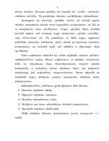 Research Papers 'Reklāmas tirgus analīze Latvijā (2001.-2002.g.)', 6.