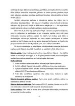 Research Papers 'E-komercijas platforma Magento', 4.