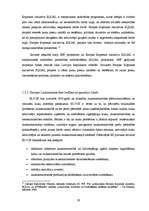 Term Papers 'Eiropas Savienības struktūrfonda administrēšanas un ieviešanas sistēma Latvijā', 20.