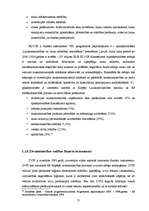 Term Papers 'Eiropas Savienības struktūrfonda administrēšanas un ieviešanas sistēma Latvijā', 21.