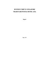 Research Papers 'Business Trip to Singapore', 1.