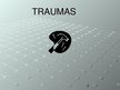 Presentations 'Traumas', 2.
