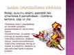 Presentations 'Jauna tirgus meklējumi SIA "Ksil Baltic"', 3.