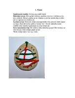 Summaries, Notes 'Šūšanas mape pirmsskolā', 2.