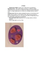 Summaries, Notes 'Šūšanas mape pirmsskolā', 5.