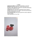 Summaries, Notes 'Šūšanas mape pirmsskolā', 6.