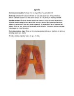 Summaries, Notes 'Šūšanas mape pirmsskolā', 7.