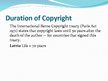 Presentations 'Copyright Issues in Different Fields', 7.