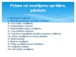 Presentations 'Lietuvas grāmatvedības sistēma salīdzinājumā ar Latvijas grāmatvedības sistēmu', 20.