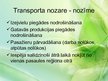 Presentations 'Transporta nozare', 2.