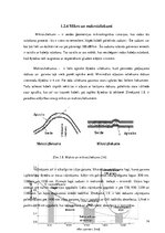 Term Papers 'Optiskā reflektometra mērīšanas precizitātes novertēšana', 14.
