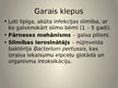 Presentations 'Rota vīruss un garais klepus', 2.