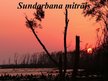 Presentations 'Sundarbana mitrājs', 1.