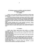 Research Papers 'Strūžānu pagasta sociāli ekonomiskās attīstības programma', 45.