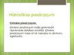 Presentations 'Hidrosfēras piesārņojuma cēloņi un sekas', 5.