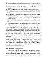 Practice Reports 'Grāmatvedības prakses atskaite', 17.