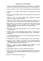 Practice Reports 'Grāmatvedības prakses atskaite', 40.