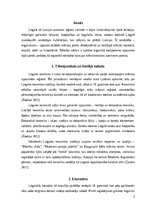 Research Papers 'Latgaliskais komponents mākslā', 2.
