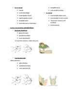 Summaries, Notes 'Elpošanas novērtēšana un uzturēšana', 2.