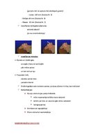 Summaries, Notes 'Elpošanas novērtēšana un uzturēšana', 4.