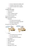Summaries, Notes 'Elpošanas novērtēšana un uzturēšana', 8.
