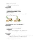 Summaries, Notes 'Elpošanas novērtēšana un uzturēšana', 9.