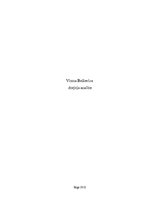 Summaries, Notes 'Vizmas Belševicas dzejoļa analīze', 1.