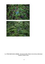 Research Papers 'Etalonteritorijas biotopu un augšņu daudzveidība', 21.