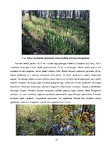 Research Papers 'Etalonteritorijas biotopu un augšņu daudzveidība', 25.